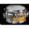 Tama PE106M Werbel Peter Erskine Snare Drum - 10" x 6" - 5