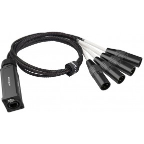 Konwerter adapter DMX męski na RJ45 żeński Roxtone PS4M - 1