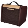Fishman Loudbox Micro - combo gitarowe - 3