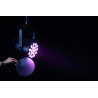 Showtec Reflektor zewnętrzny Cameleon Spot 18Q6 Tour 18x 12 W RGBWA-UV LED