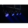 Showtec Reflektor zewnętrzny Cameleon Spot 12Q6 Tour 12x 12 W RGBWA-UV LED