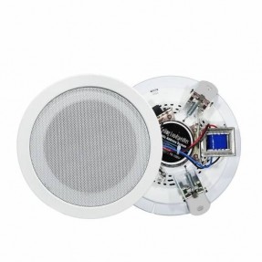 NSP NS-304 - Głośnik 100V