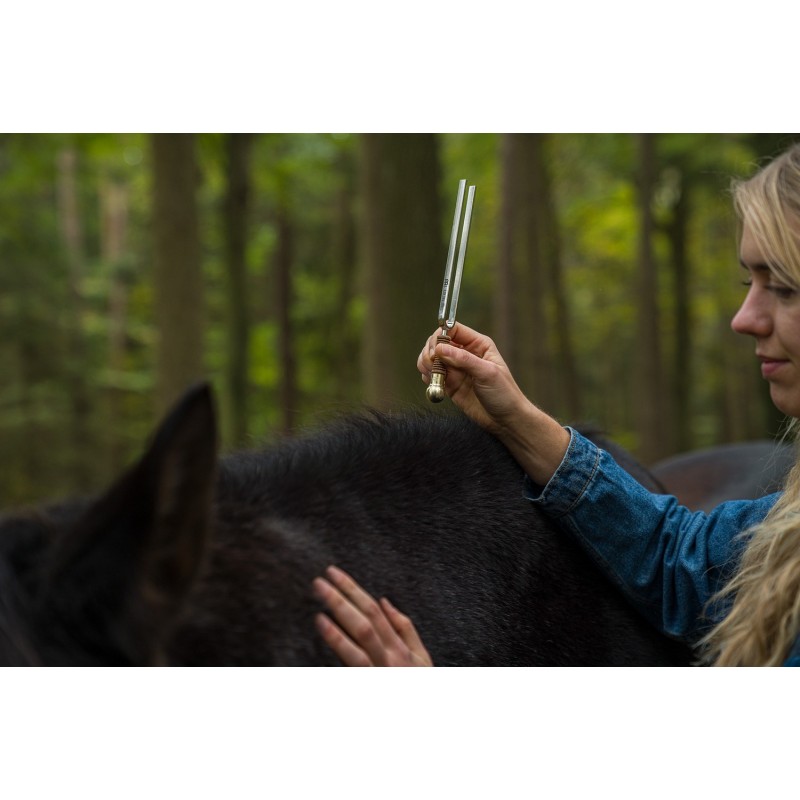 Sonic Energy VF-RS - Stopka do kamertonu - 7 - Akcesoria perkusyjne - Sonic Energy VF-RS - Stopka do kamertonu