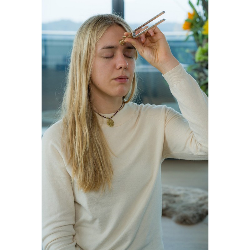 Sonic Energy VF-FS - Stopka do kamertonu - 9 - Akcesoria perkusyjne - Sonic Energy VF-FS - Stopka do kamertonu