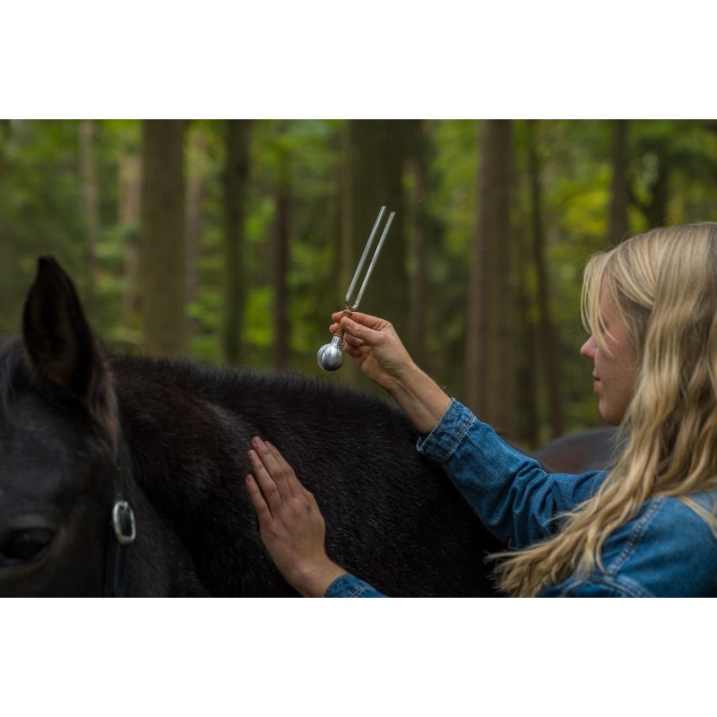 Sonic Energy VF-RL - Stopka do kamertonu - 6 - Akcesoria perkusyjne - Sonic Energy VF-RL - Stopka do kamertonu