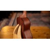 Ortega RU4 - Ukulele koncertowe Bonfire - 3 - Ukulele - Ortega RU4 - Ukulele koncertowe Bonfire