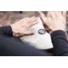 Meinl Percussion TU10SI - Conga 10" Community - 8 - Konga - Meinl Percussion TU10SI - Conga 10" Community