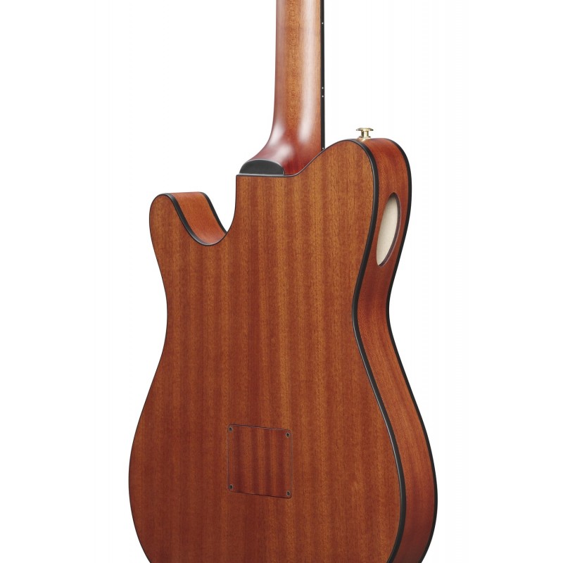 Ibanez FRH10N-RGF - Gitara elektro-klasyczna FRH - 8 - Gitary e-klasyczne - Ibanez FRH10N-RGF - Gitara elektro-klasyczna FRH