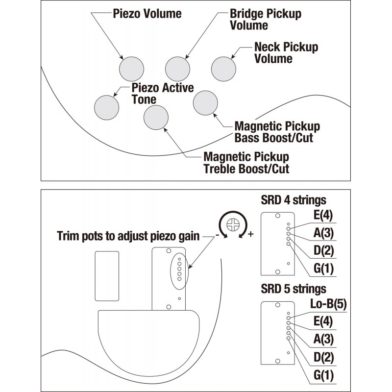 Ibanez SRD905F-BTL - Gitara basowa Bass Workshop - 12 - Gitary basowe - Ibanez SRD905F-BTL - Gitara basowa Bass Workshop