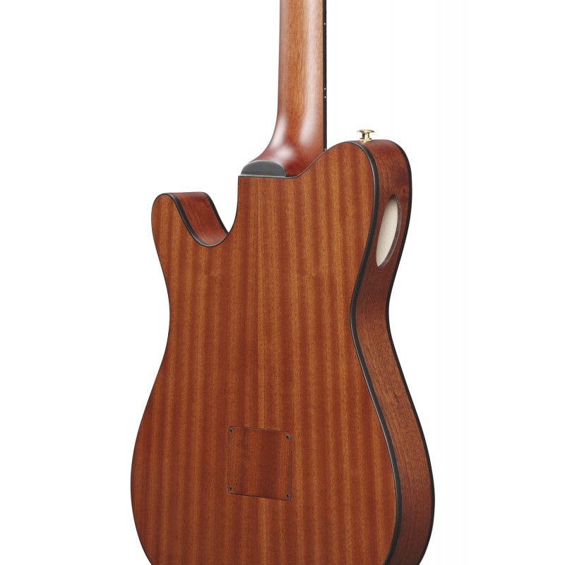 Ibanez FRH10N-IBF - Gitara elektro-klasyczna FRH - 10 - Gitary e-klasyczne - Ibanez FRH10N-IBF - Gitara elektro-klasyczna FRH