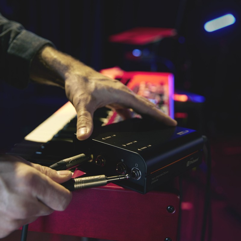 Palmer RIVER elde - DI-Box pasywny 2-kanałowy