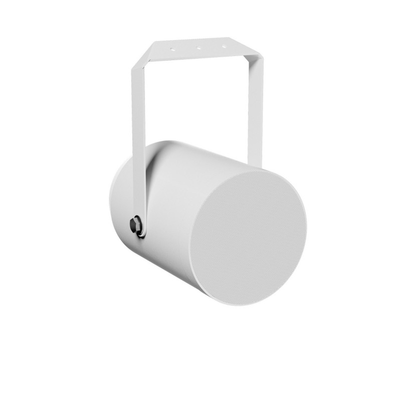 LD Systems CE P10 - Głośnik projekcyjny o mocy 10 W