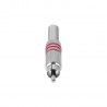 Adam Hall Connectors 3 STAR CR2 RED - Wtyk RCA M