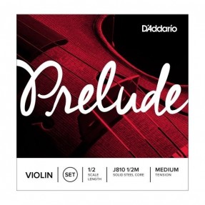 D`ADDARIO J810 1sls2 - struny do skrzypiec