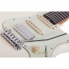 Schecter Nick Johnston Traditional H/S/S - Gitara elektryczna