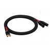 Reds AU5460 BX - kabel 2 x RCA - 2 x XLR M 6m