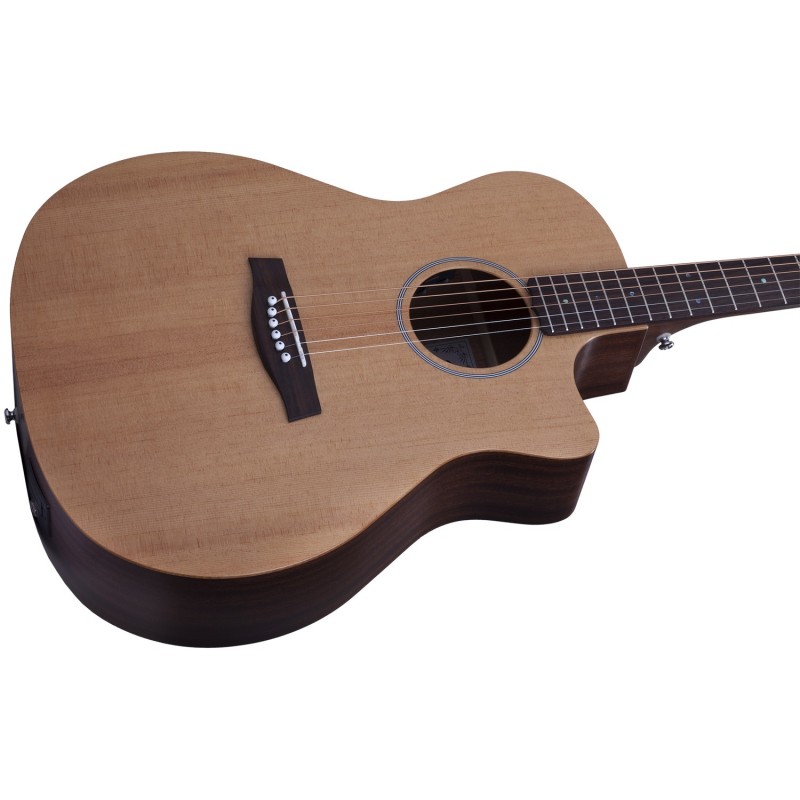 Schecter Deluxe Acoustic - Gitara akustyczna