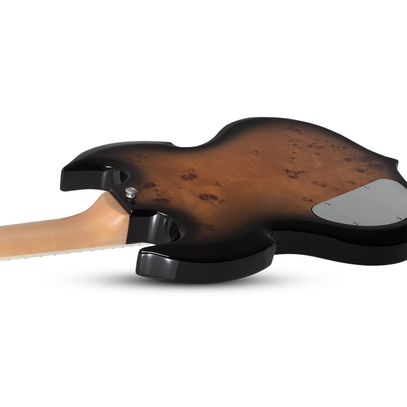 Schecter Wylde Audio IronWorks Barbarian - Gitara elektryczna