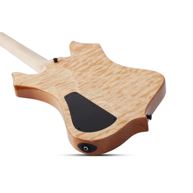 Schecter Wylde Audio Nomad Norse Dragon - Gitara elektryczna