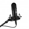 Voyage Audio Spatial Mic Dante - profesjonalny mikrofon studyjny - 5