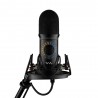 Voyage Audio Spatial Mic USB - profesjonalny mikrofon studyjny - 4