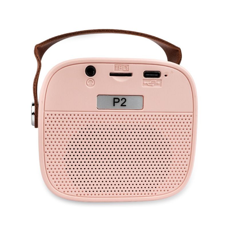 NN PM1 - Bezprzewodowy przenośny zestaw karaoke