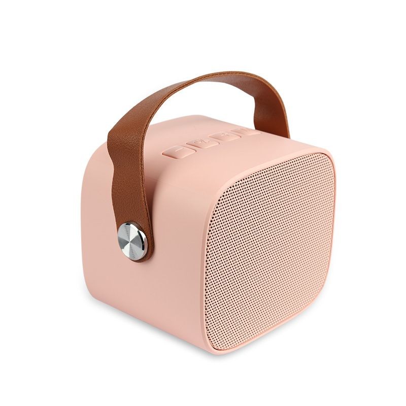 NN PM1 - Bezprzewodowy przenośny zestaw karaoke