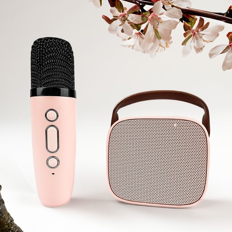 NN PM1 - Bezprzewodowy przenośny zestaw karaoke