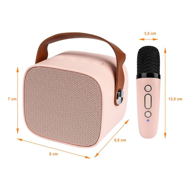 NN PM1 - Bezprzewodowy przenośny zestaw karaoke