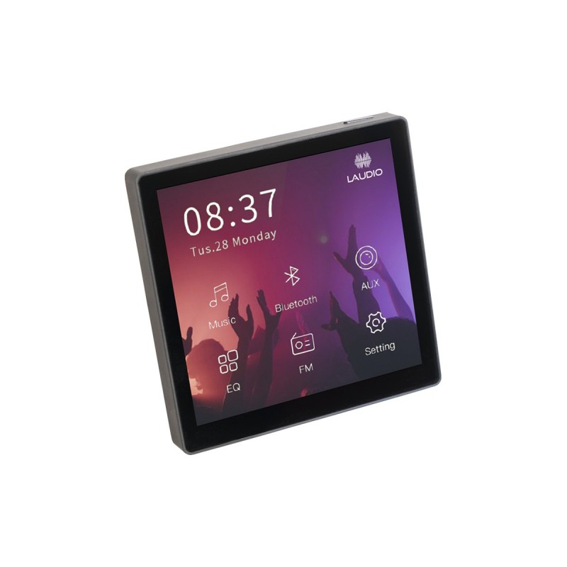 Laudio W20BT - Odtwarzacz ścienny z wyświetlaczem Bluetooth FM USB 2 x 20W