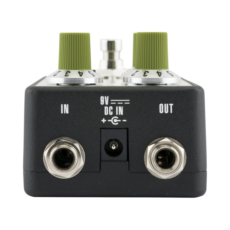 Fender Bassman Reverb - Efekt gitarowy