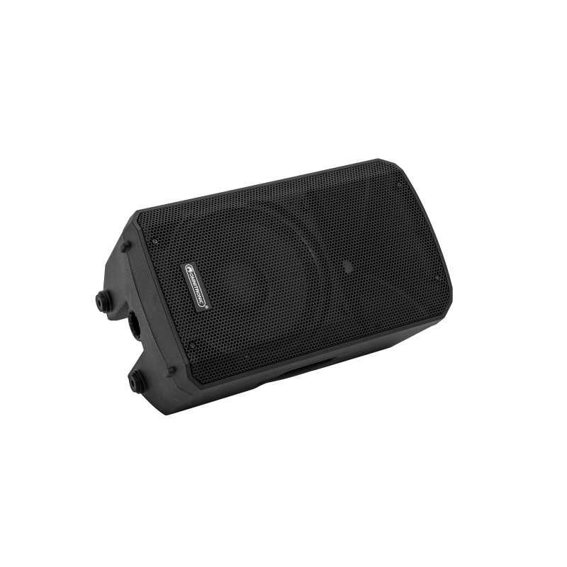 Omnitronic VFM-210 MK2 - Głośnik 2-drożny pasywny 10"