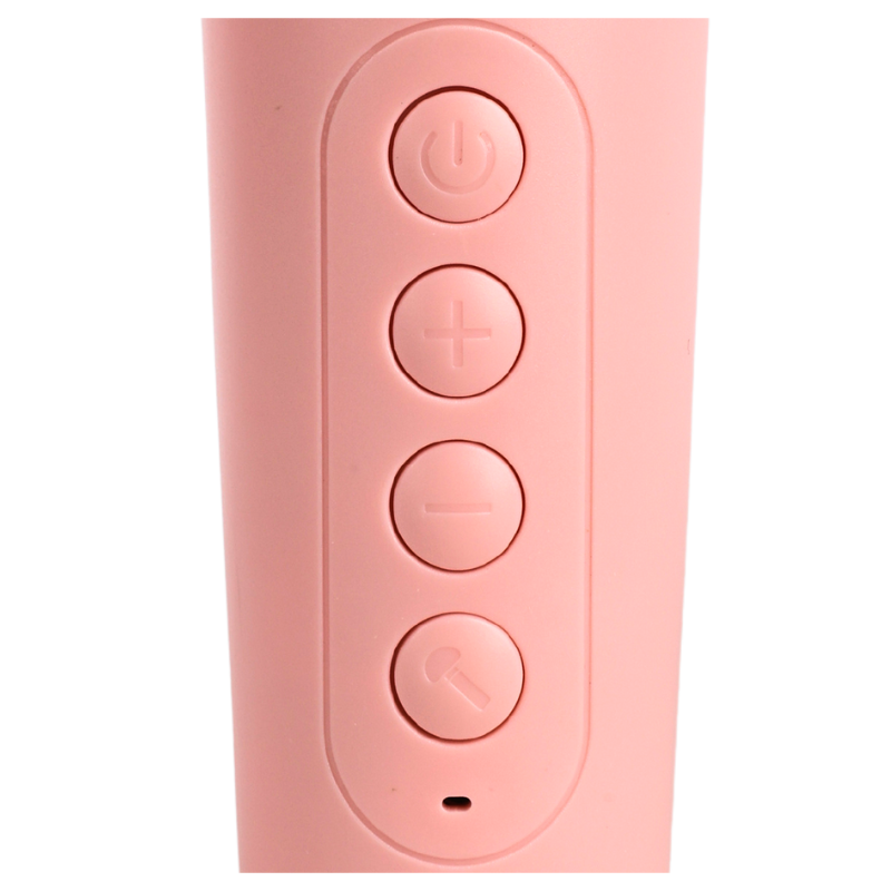 NN PM3 - Bezprzewodowy przenośny zestaw karaoke