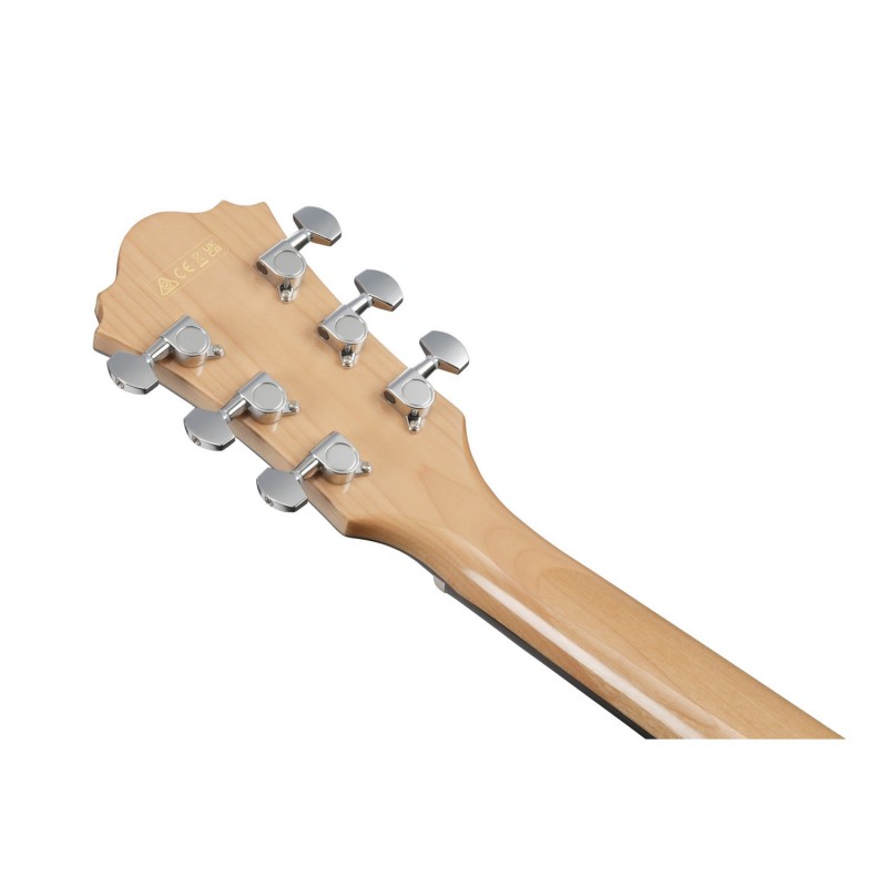 Ibanez AE170-NTR - Gitara elektroakustyczna