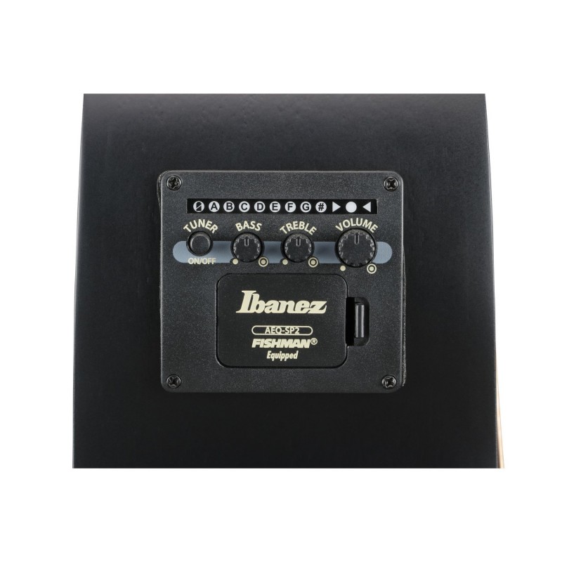 Ibanez AEG721-BOT - Gitara elektroakustyczna