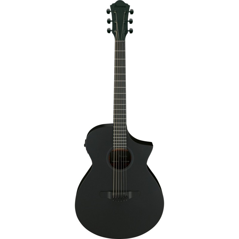 Ibanez AEWC621-BOT - Gitara elektroakustyczna