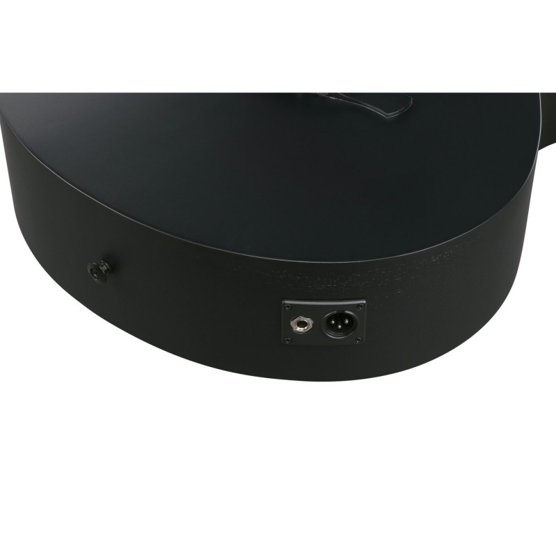 Ibanez AEWC621-BOT - Gitara elektroakustyczna