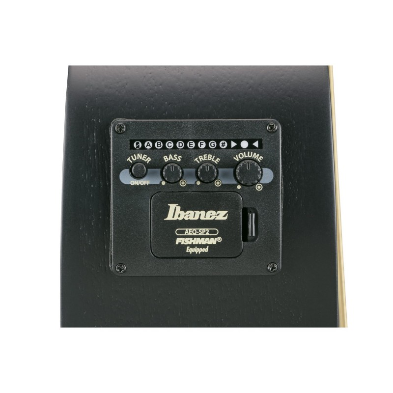 Ibanez AEWC621-BOT - Gitara elektroakustyczna