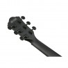 Ibanez AEWC621-BOT - Gitara elektroakustyczna