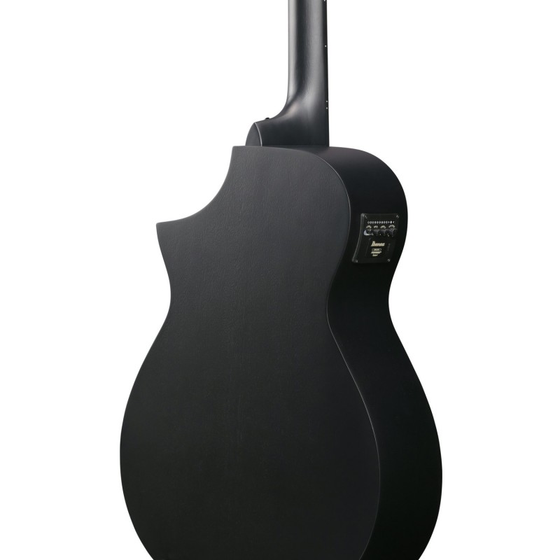 Ibanez AEWC621-BOT - Gitara elektroakustyczna