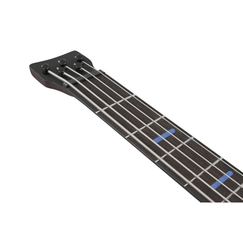 Ibanez EHB5MSBSP-MAM Bass Workshop - Gitara basowa z pokrowcem