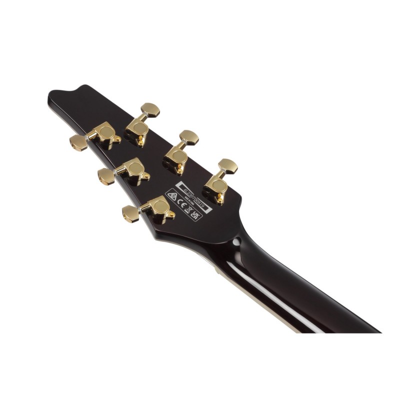 Ibanez IC420-AAB Iceman - Gitara elektryczna z pokrowcem