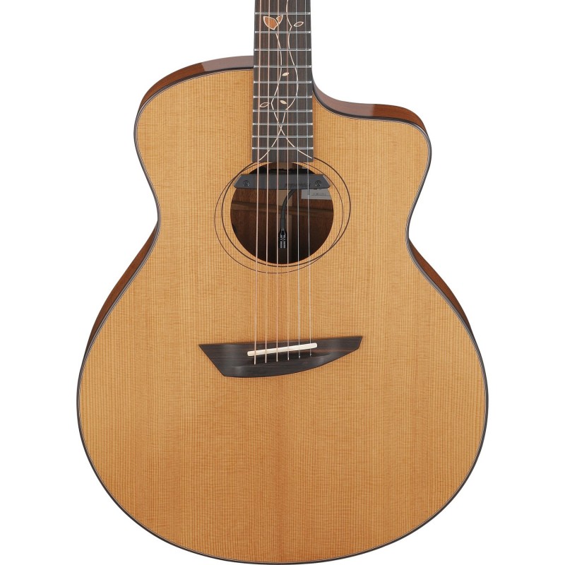 Ibanez JGM11 Jon Gomm Signature - Gitara akustyczna z futerałem