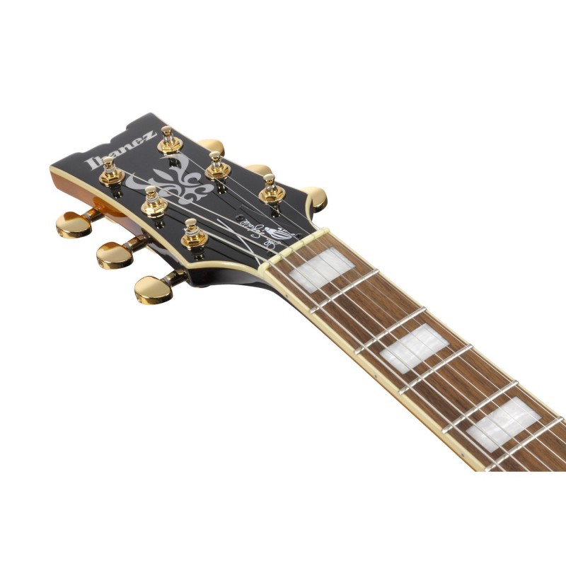 Ibanez JSM10EM-TTB John Scofield Signature Hollow Body - Gitara elektryczna