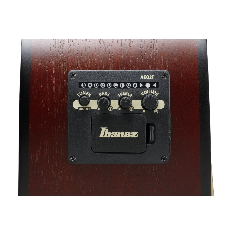 Ibanez PJ50E-OAH - Gitara elektroakustyczna