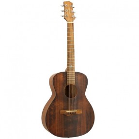 Randon RGI-14Mini-VT gitara akustyczna - 1 - Gitary akustyczne - Firma Randon to w ostatnim czasie absolutnie czarny koń na rynk