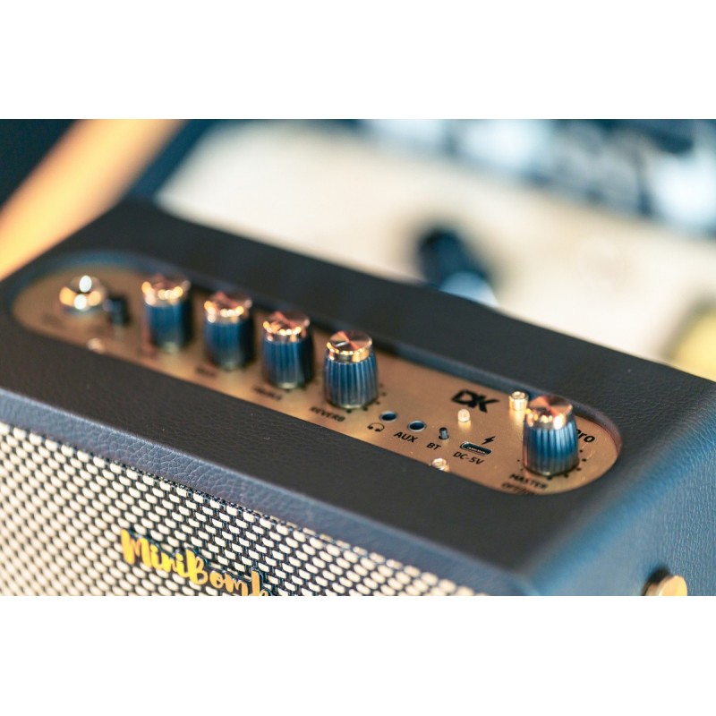 DK Technology iG-10Pro - Wzmacniacz do gitary elektrycznej