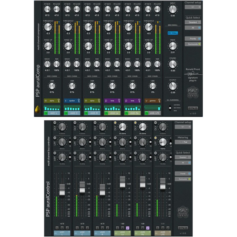 PSP Audioware auralBundle Zestaw wtyczek VST - 1 - Efekty (wtyczki VST, VSTi, TDM, RTAS itp.)) - Zawiera auralComp i auralContro
