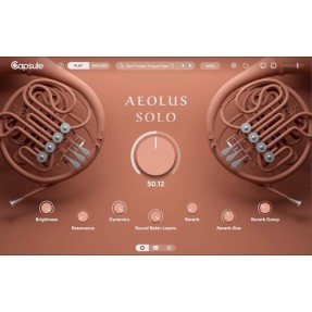 Capsule Audio Aeolus Solo - Muzyczny instrument wirtualny VST (do pobrania)