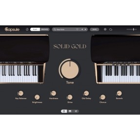Capsule Audio Solid Gold - Muzyczny instrument wirtualny VST (do pobrania)